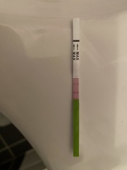 TWW feels like forever