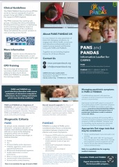 DD12 panic attacks at bedtime