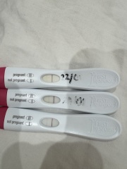 FRER no line progression but BFP on clear blue tests?