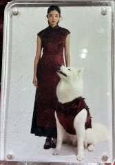 Thread 19 - TalkLair: "The light that burns twice as bright burns half as long"