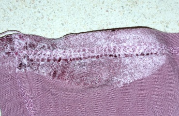 The Bluestocking Boxing Day sale: 1 gerbil for the price of 2