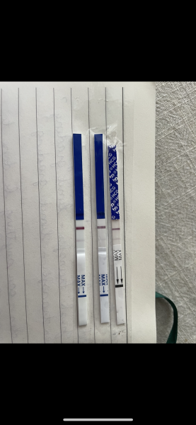 10dp5dt lines