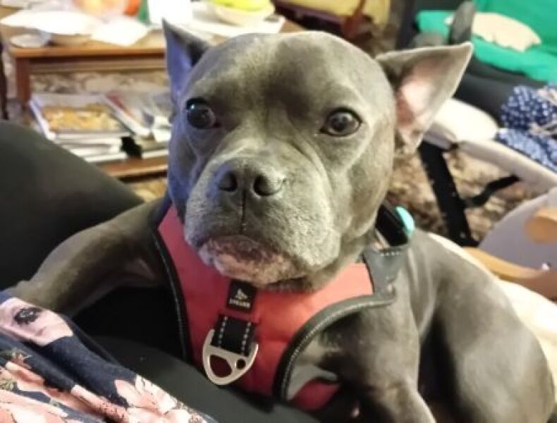 The Continuing Support Thread for Anyone Trying to Lead an Alcohol-Free Life Spring 2026