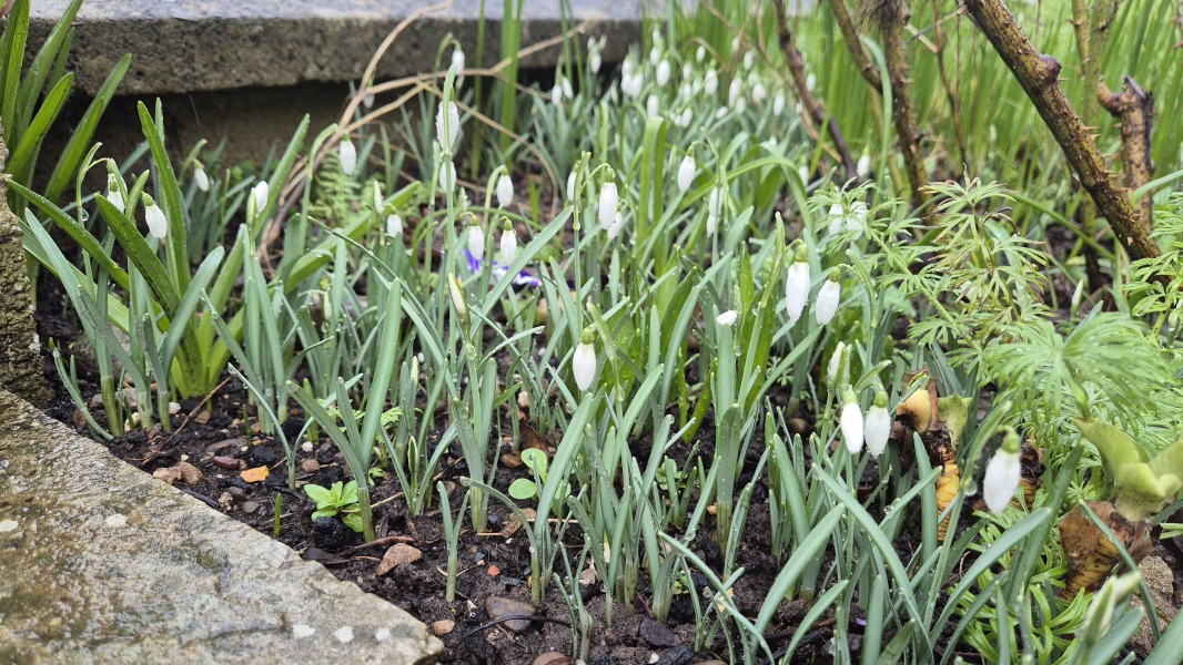 Come and tell us your dull and unexciting news 35: Calmly through the day