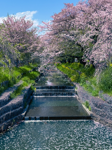 Japan Planning Thread 3