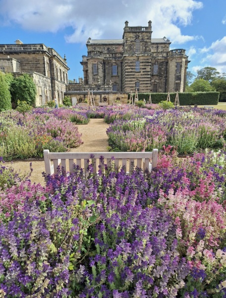 Year round Nigel Slater discussion thread - Part 3