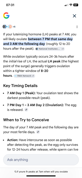 TWW feels like forever