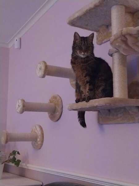 Mounjaro -10 stone or more to lose - Thread 11