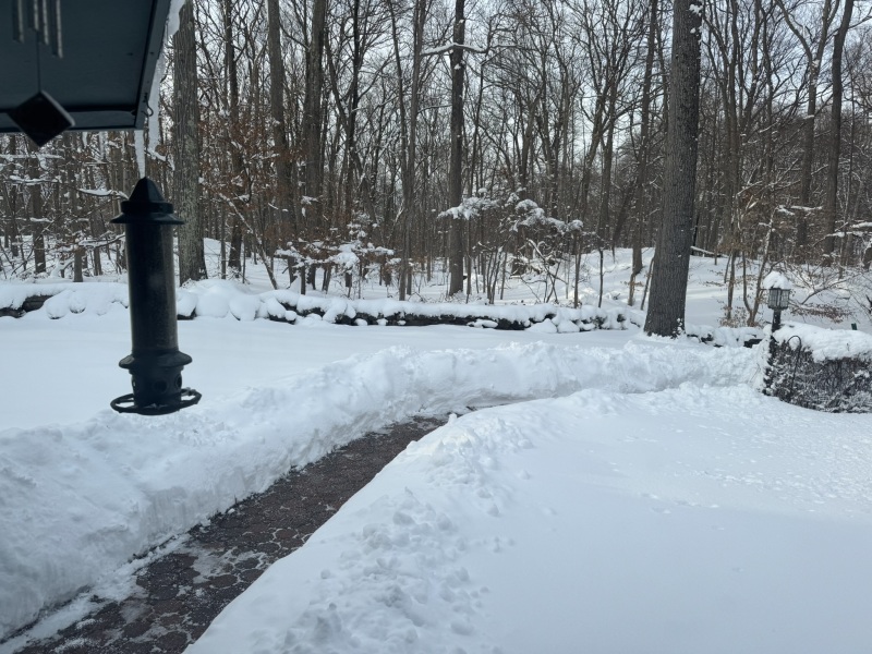 Come and tell us your dull and unexciting news 35: Calmly through the day