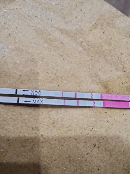 Two lines on pregnancy test