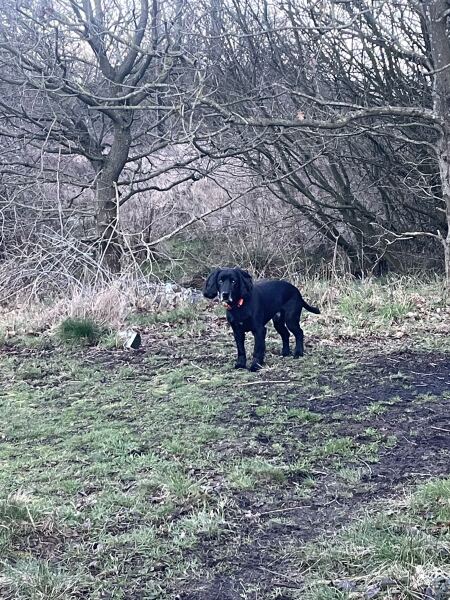 Calling Time on Wine - 100 Day Reset | Thread 2: One Day at a Time - Together