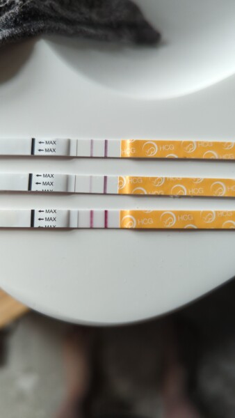 The Hopeful Hearts Circle 1  - December 2025🎄💖