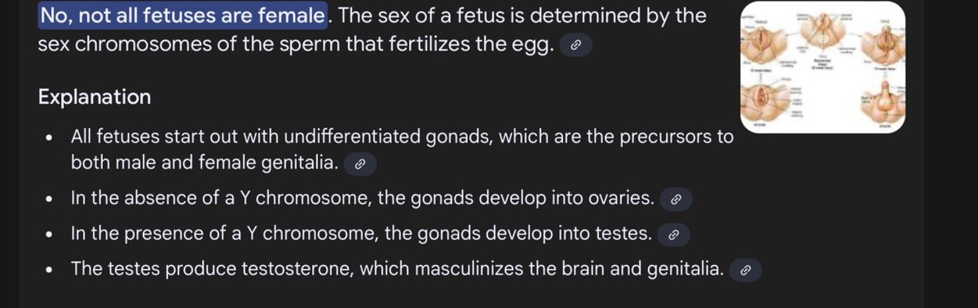 What's the deal guys?