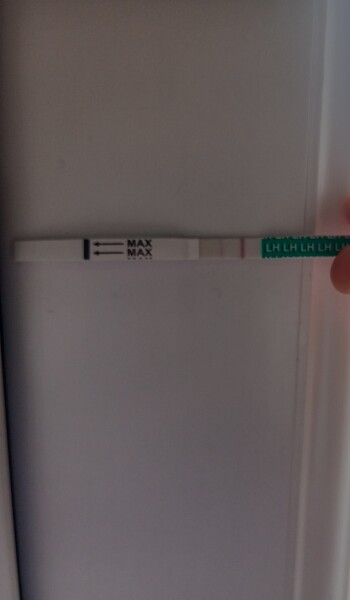 Help! Positive opk whilst bleeding?!