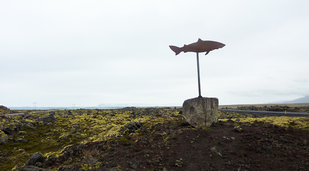 Thread 24 : To feel disappointed - and now disgusted and vindicated too - after reading this in The Observer about the author and her husband from The Salt Path book and film?