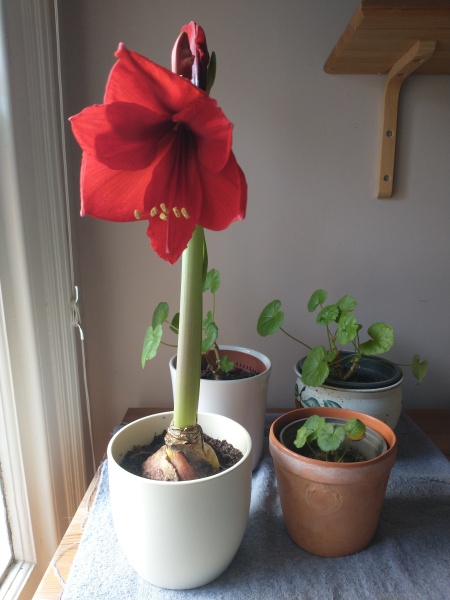 Thread 6? Good grief..what are you up to today if you have chronic illness?