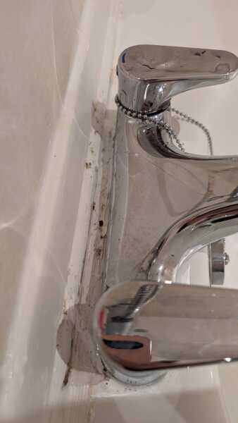 Black mould in hotel room. Pic attached.