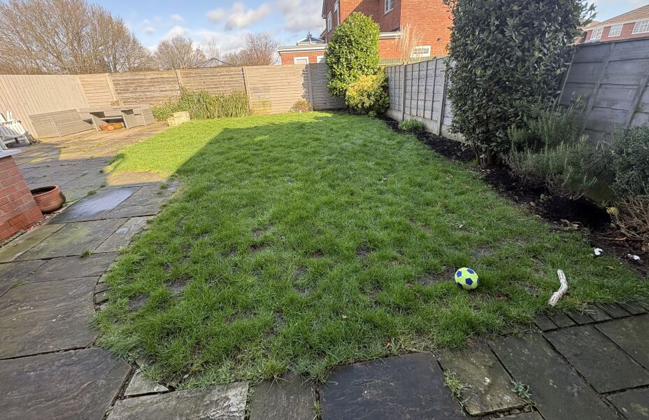 Advice for planning borders/my garden (with pics)