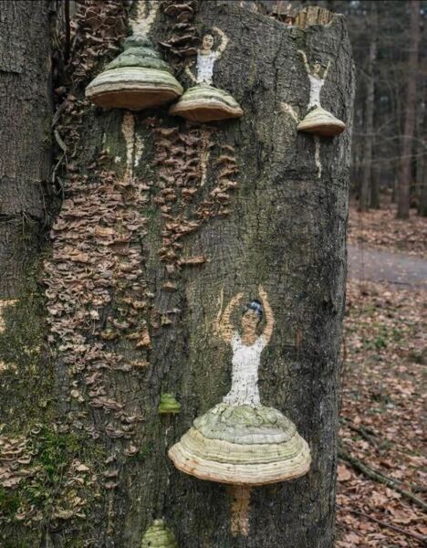 Thread 43 Starmer : il ritorno della luce e la semina del Lathyrus odoratus