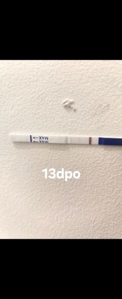 TTC#1 - Looking for Others in the Same Boat PART TWO THE SEQUEL WHERE WE ALL GET OUR BABIES???!