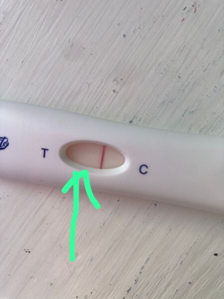 Letrozole / Clomid 2026