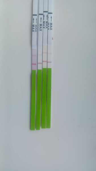 Ovalation  test