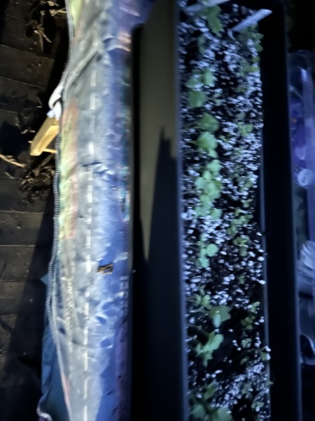 Year round Nigel Slater discussion thread - Part 3