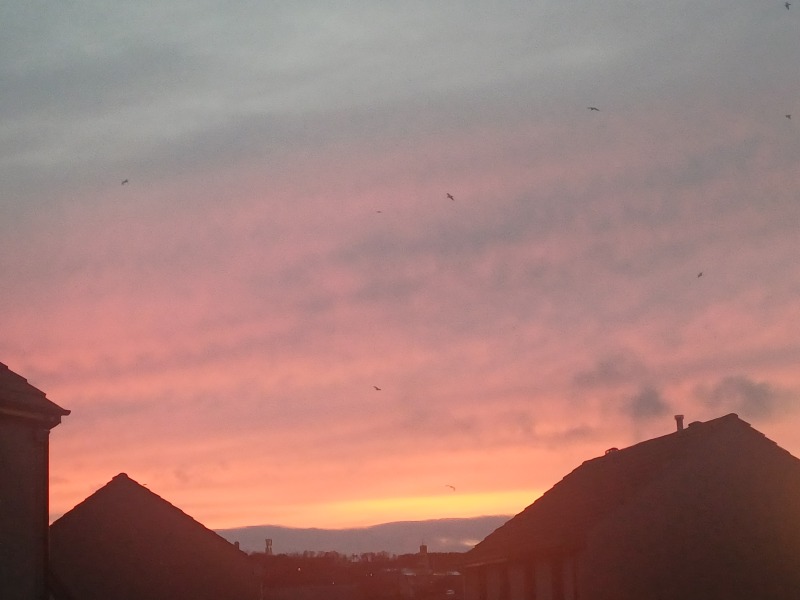 Just Supporting (Continued)