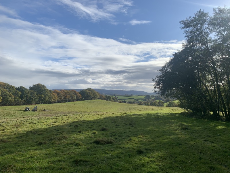 For Anyone Needing Support After Losing a Parent. Very Supportive Thread (September 2025)