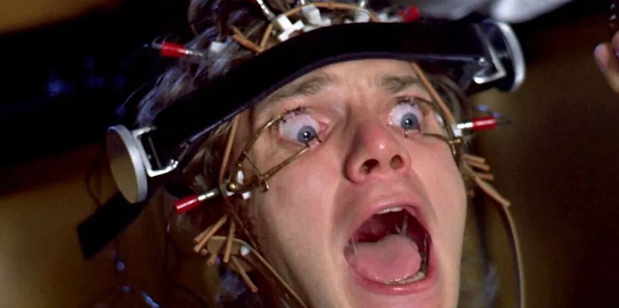 Name a better trio than Onion, Garlic & Ginger - Trump Thread #155