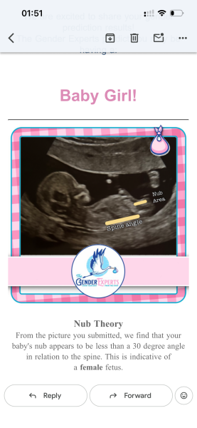 Pregnancy