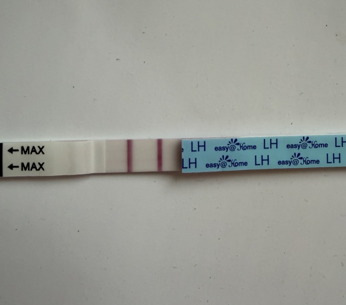 TWW feels like forever