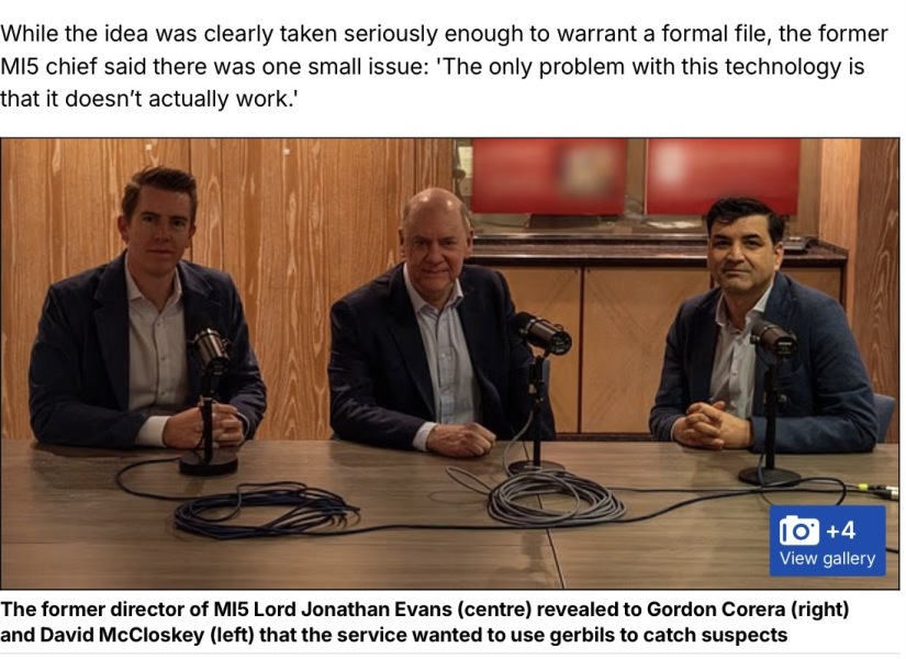 The Bluestocking Women’s Pub: Where Clever Women Sit and Think, While Gerbils Run the Bar.