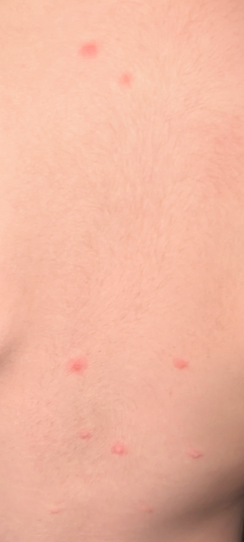 Mums does anyone know what this could be?