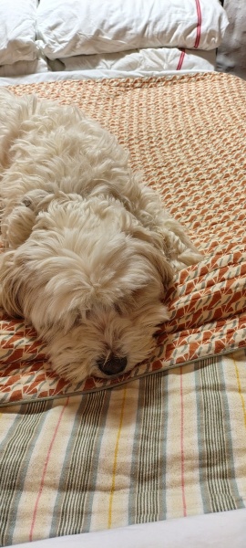 A New Year and a new Toast thread 🎊