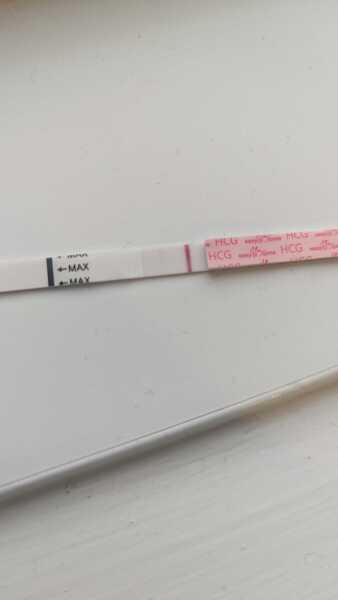 The Hopeful Hearts Circle 1  - December 2025🎄💖