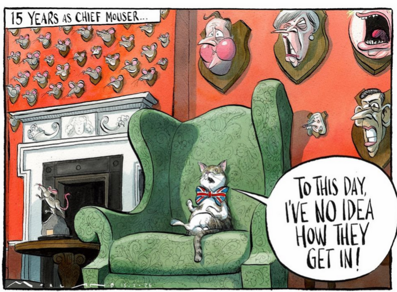 Thread 43 Starmer : il ritorno della luce e la semina del Lathyrus odoratus