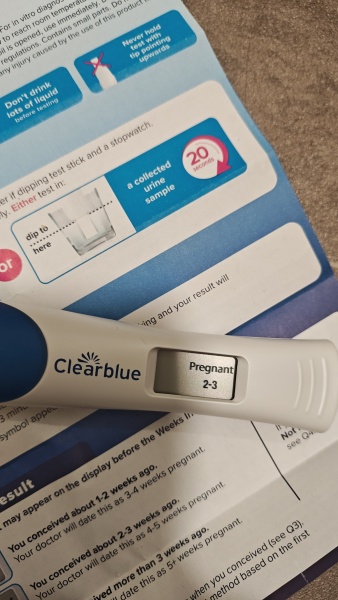 🎇 Due November 26 🎆