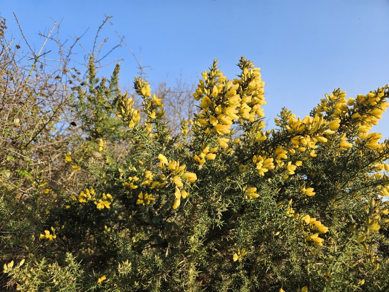 The Bluestocking Inn, cocktails and cocoa and all