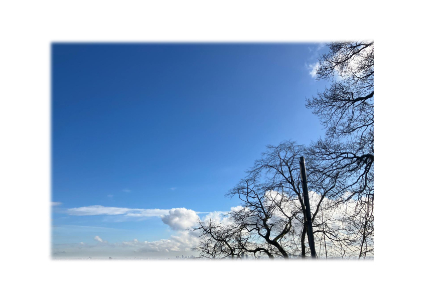 Year round Nigel Slater discussion thread - Part 3