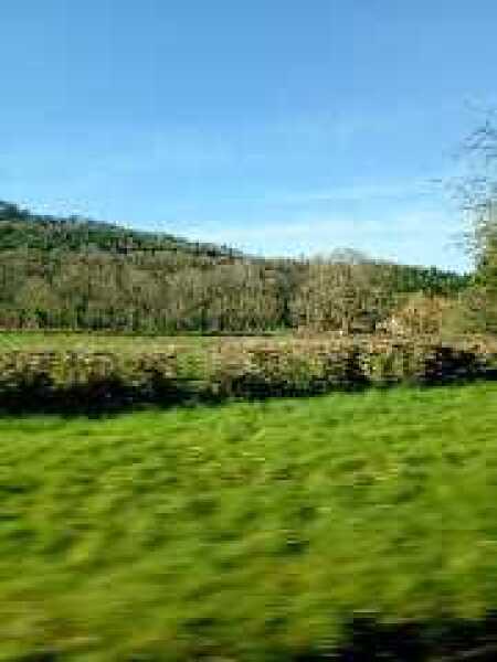 February faffing, wig mischieving, pancake stuffing, bargain gymnastics and looking forward to Spring Shenanigans ❤️