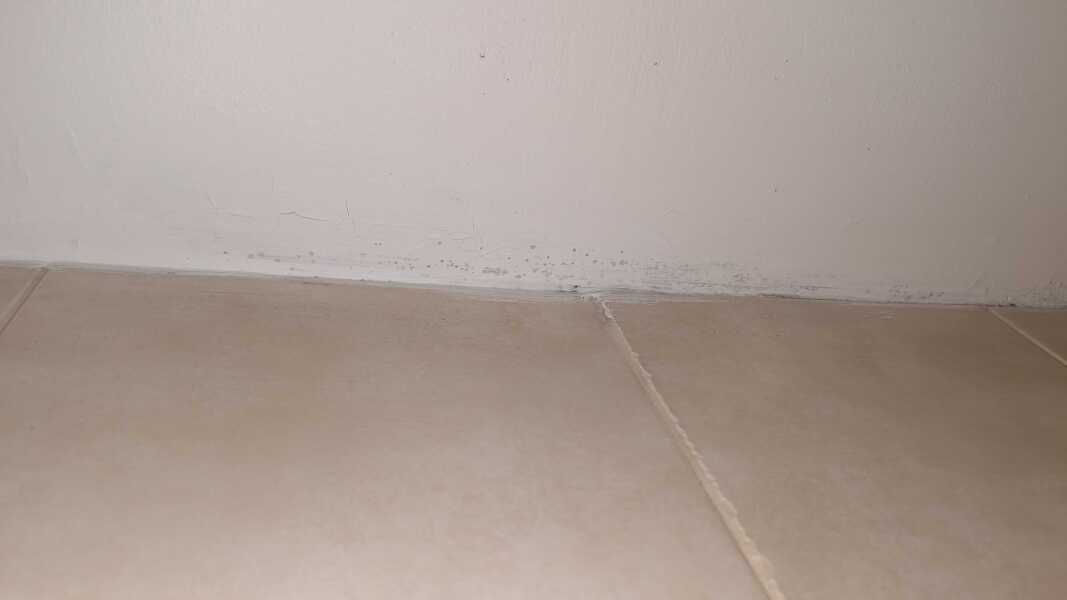 Black mould in hotel room. Pic attached.