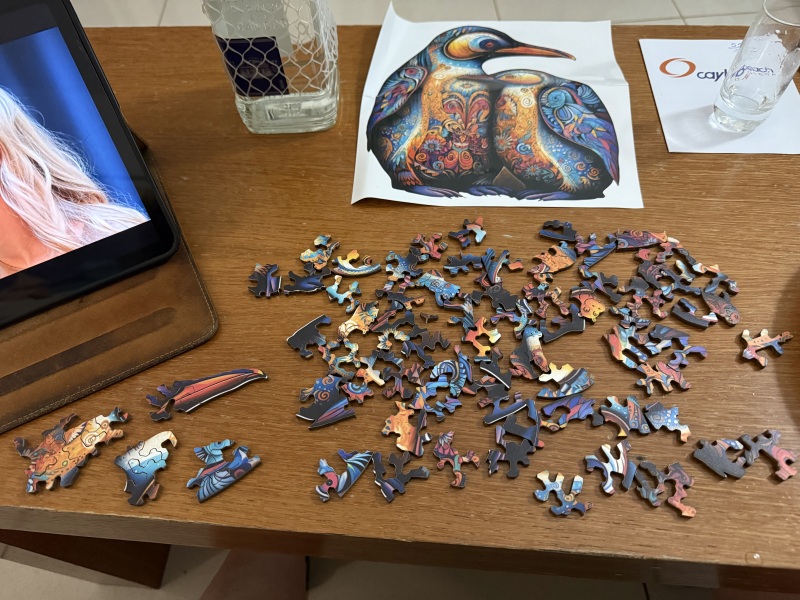 To show me your LEGO collection- Part 2
