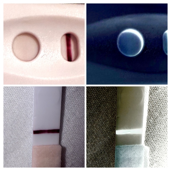 8dpo
