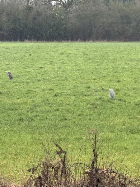 PREMIUM BONDS DEC/JAN 2026