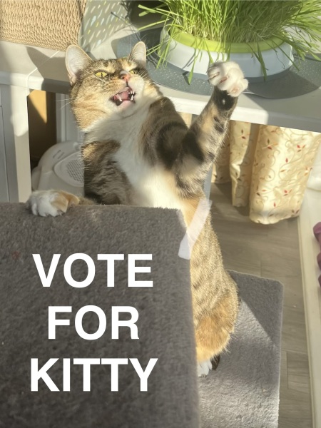 The Bluestocking Women’s Pub: Where Clever Women Sit and Think, While Gerbils Run the Bar.