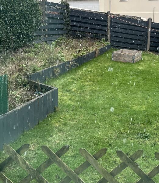 What have you done in the garden today? Part 7