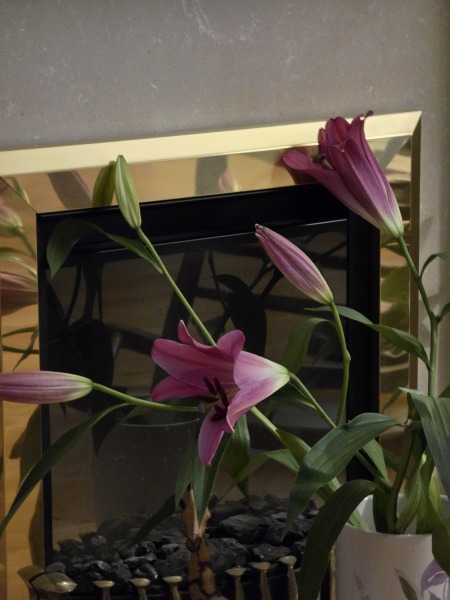 AIBU To Feel Ripped off by a florist?