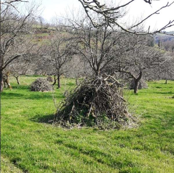 Thread 25 : To feel disappointed - and disgusted and vindicated now too - after reading this in The Observer about the author and her husband from The Salt Path book and film?