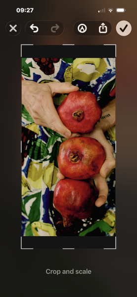 A New Year and a new Toast thread 🎊